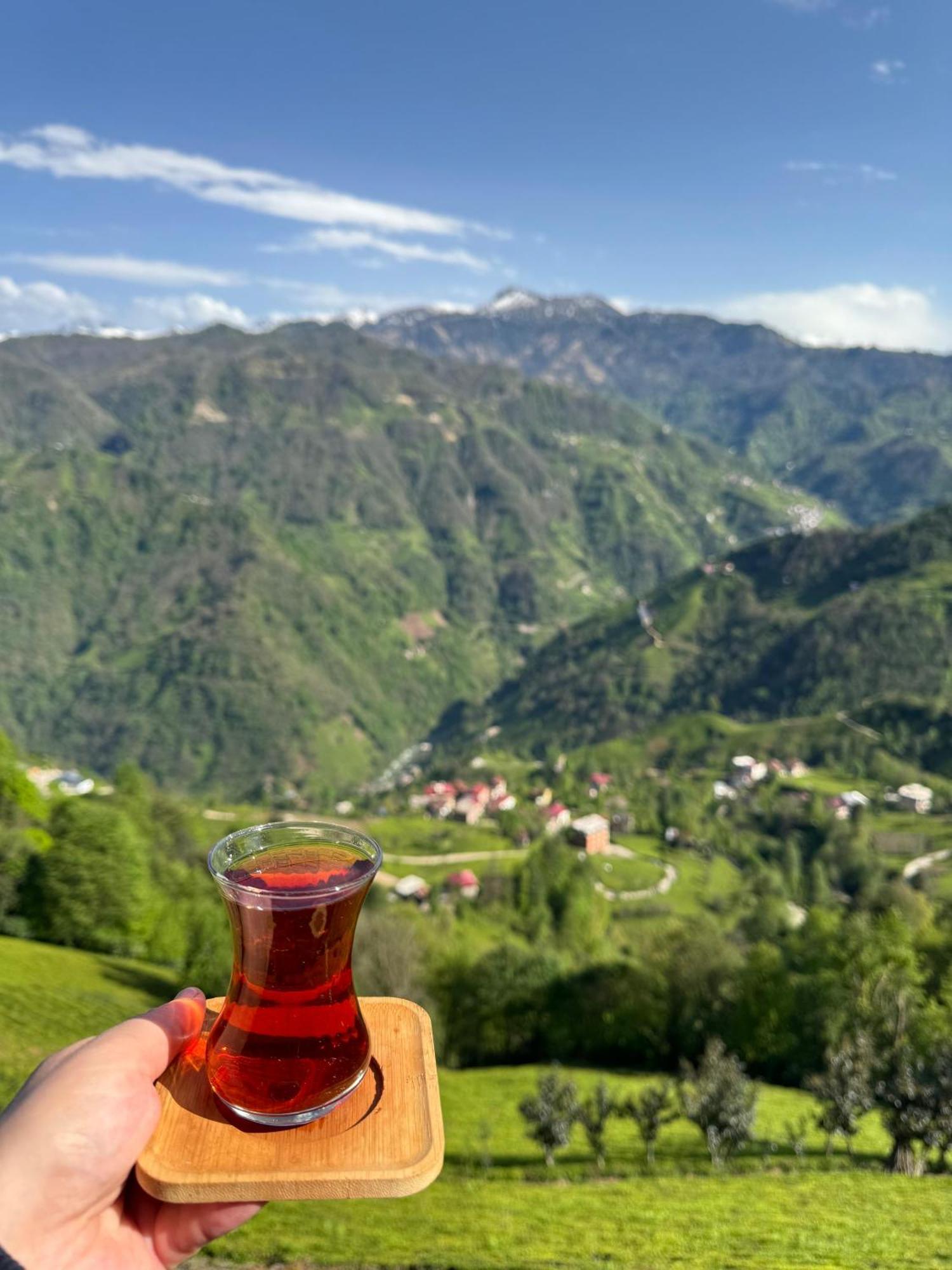 Pera Bungalov Ardeşen Kültér fotó